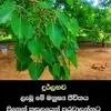 user75713501628285