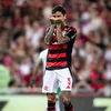paulo__andre8