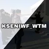 kseniwf_wtm