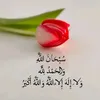 user2397630004551