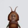 mahitojitomate1