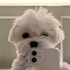 user11199318479407
