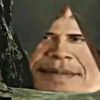 obamadogs687