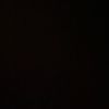 raida_elfarra
