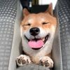 petstime746