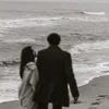 tl8__.l