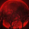 red_moon_wandr