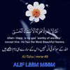 anas.shahzada.0078