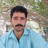 aligoharaligohar281