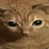 alekssandraaaaaaaaaaaaa