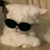 yuuu_6.1_kaaaa