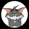 Apin