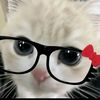nlyz_1
