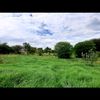 sinwaara08