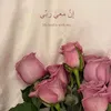 zcxsrt_