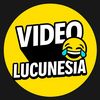 Video Lucunesia™