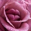 user9311072012594