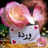 user8111753782517