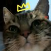 edward_1660