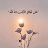 mohammad.wheshe