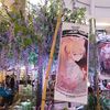 sueina7