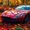haidri7550