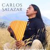 salazar4664