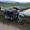 dimas.p794