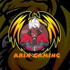 arin.gaming4