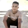 user31177817000595
