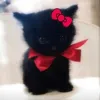 ezzlove.3