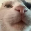 chirrascolombardi