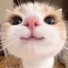 joosh617