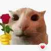 gia_haanz