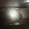 bella_38871