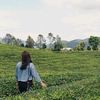 ellaluv.sthg