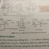 qdung_1117