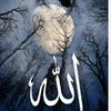 user6304891651541