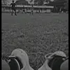 jeremyemanuelcara