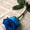 i_21yq