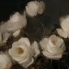 ★ 𝓦ith 𝓛ove,𝐌᥆᥆ᥒ! ☾