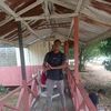 paull.q135