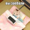 meow36910
