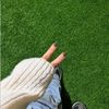 user4593617363061