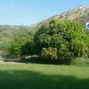 zaher.dhyab711