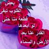 user53236381842997