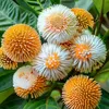 huynh.ky12