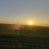 ismail.muradi3