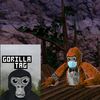 broownyevr_gtag