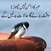 user4930963451092